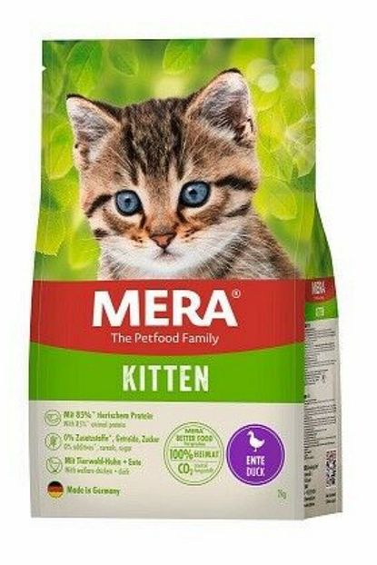 mera tahilsiz ordekli yavru kedi mamasi