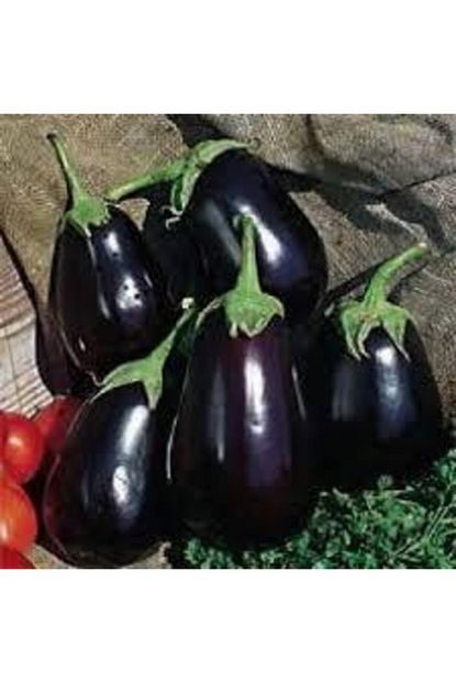 50 adet tohum super paket adana yerli koy patlican tohumu