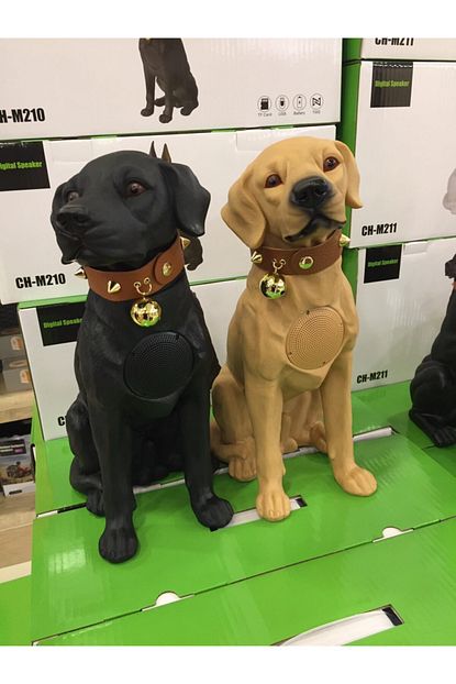 ch m10 labrador kopek bluetooth hoparlor ses bombasi fiyati yorumlari trendyol