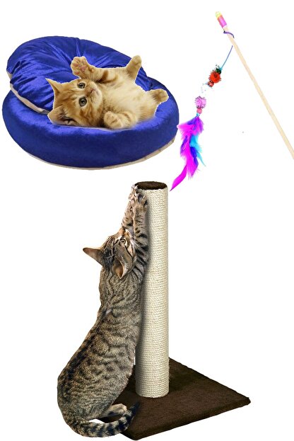 Pet Style Kedi Tirmalama Simit Yatak Oyun Oltasi Avantaj Paketi Trendyol