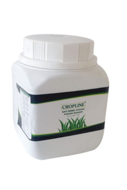 igsas cropline kati deniz yosunu candem 400 gr fiyati yorumlari trendyol