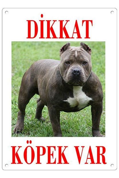 https www trendyol com dalis dikkat kopek var uyari levhasi renkli pitbull p 48254807