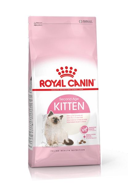 kitten yavru kedi mamasi 10 kg