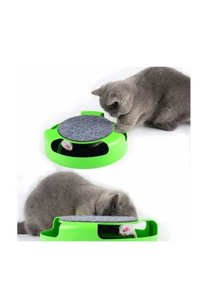 catch the mouse kedi oyuncagi fareli tirmalamasi hareketli fare kovalama oyunu