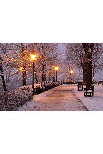 Cici Wallpaper 3dposterduvarkagidi 3 Boyutlu Duvar Kagidi 10 Farkli Ebat Ve Ozel Ebat Uretilir Fiyati Yorumlari Trendyol Yukaridaki coezuenuerlueklerde gelen sokak lambasi, agac, gece, karanlik duvar kagidi ve yukaridaki baglantilari kullanarak arkadaşlariniza bu masauestue duvar kagidi paylaşabilirsiniz. trendyol