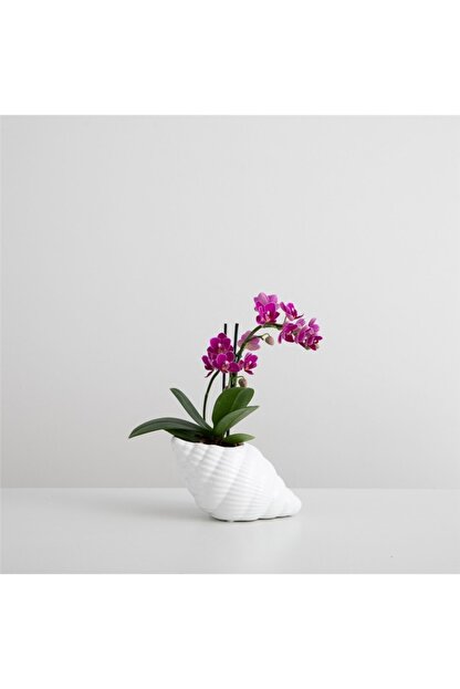 Chakra Cers Saksi S 15 5x10x10 Cm Beyaz Trendyol