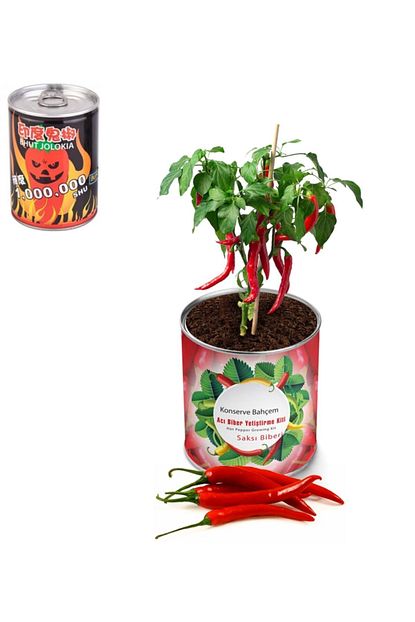 renn bhut jolokia dunyanin en aci