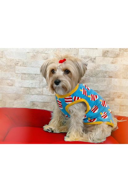 buddy store kedi kopek elbiseleri dondurma desenli sevimli gezdirme giysileri mavi fiyati yorumlari trendyol