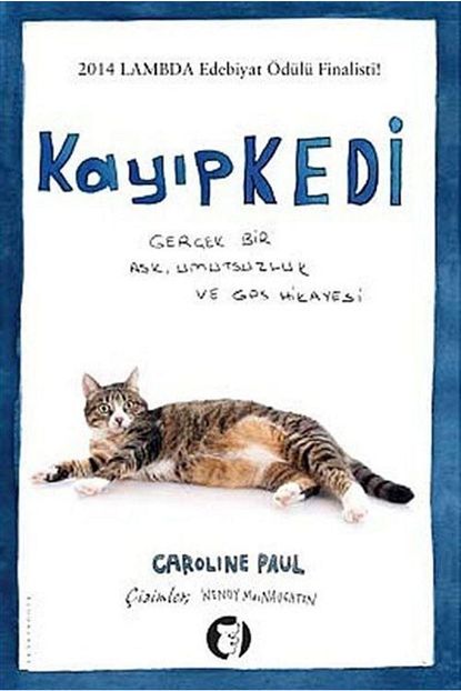 kayip kedi