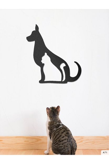 studio ay kedi ve kopek arkadasligi