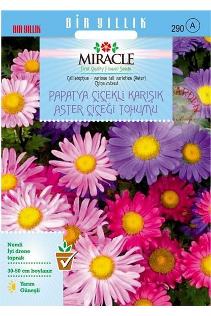 miracle tohum papatya cicekli karisik