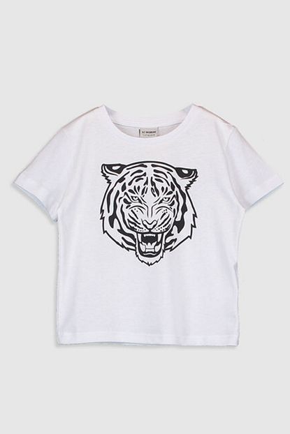 Lc Waikiki Erkek Cocuk T Shirt Trendyol