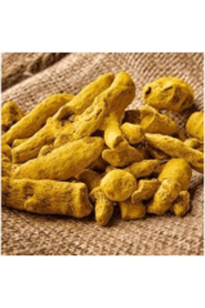 Zencefil Organik Kok Zerdecal 500 G Taze Urun Kaliteli Baharat Trendyol