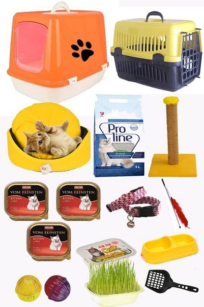 Enzoo Kedi Baslangic 15 Li Paket Trendyol