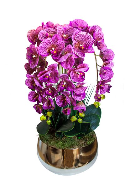 Veramaya Gumus Renk Saksida 5 Dal Phalaenopsis Pembe Orkide Luxury Aranjman Cicek 28 Cm X 70 Cm Trendyol