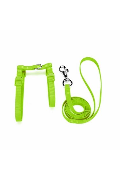 Nunbell Kedi Gogus Bel Tasmasi Dokuma 22 36 Cm Yesil Trendyol
