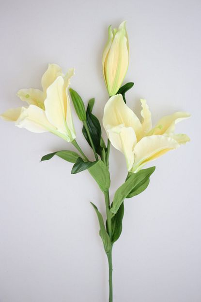 Yapay Cicek Deposu Yapay Cicek Uzun Dal Lux 3lu Lilyum 95 Cm Sari Trendyol