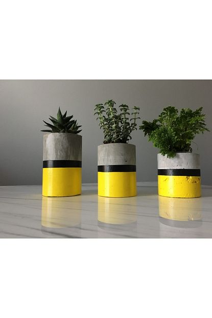 Saksi Deposu Limon Sari Siyah Beton Saksi 3 Lu Set Trendyol