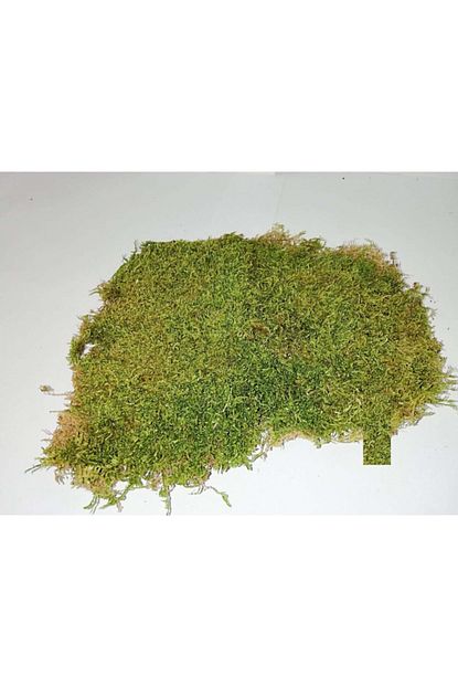 Floralmoss Dogal Kara Yosunu 500gr Trendyol