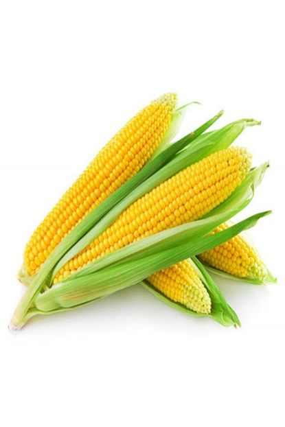 Mutlu Paket Tatli Seker Misir Tohumu 25 Gram Trendyol
