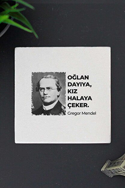 Giftstore Komik Sozler Mendel Tas Bardak Alti Trendyol