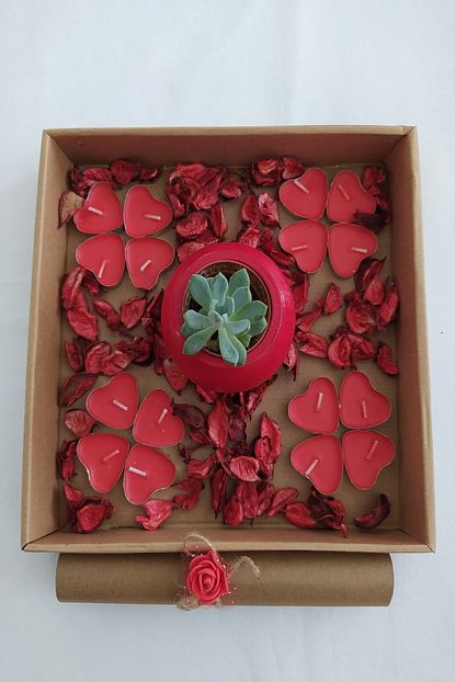 Ld Design Sevgiliye Ese Romantik Hediye Kirmizi Yapay Kuru Gullu Kutu Icinde Cicek Siir Ve Kalpli Mumlar Trendyol