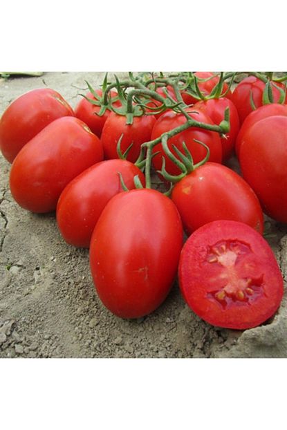 mutlu paket geleneksel verimli etli rio grande domates tohumu 10 gram fiyati yorumlari trendyol