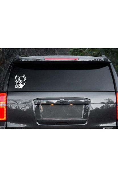 pitbull kopek araba sticker yapistirma