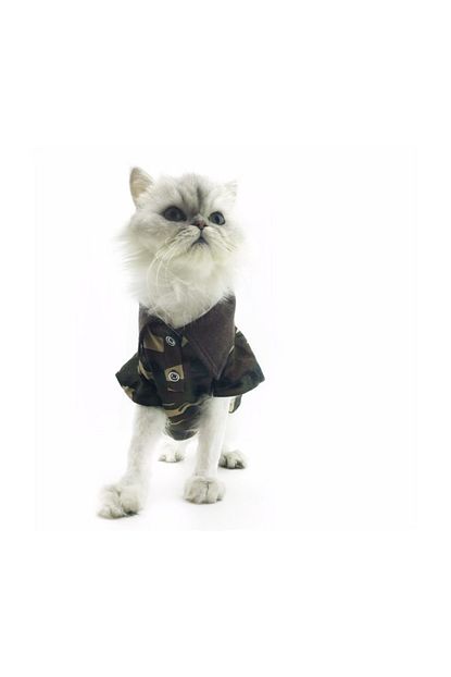 Kemique Kamuflaj Polo Yaka Tisort Kedi Kiyafeti Kedi Elbisesi Trendyol