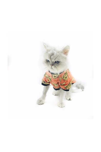 Kemique Panter Oval Yaka Tisort Kedi Kiyafeti Kedi Elbisesi 2xlarge 5 5 7 Kg Trendyol