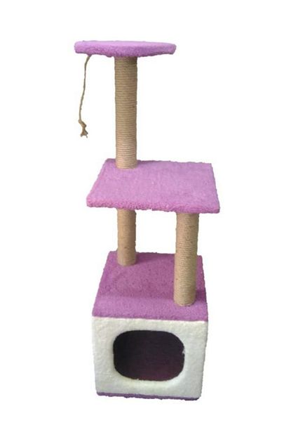 Free Kedi Evi Kup Uc Tirmalamali Trendyol