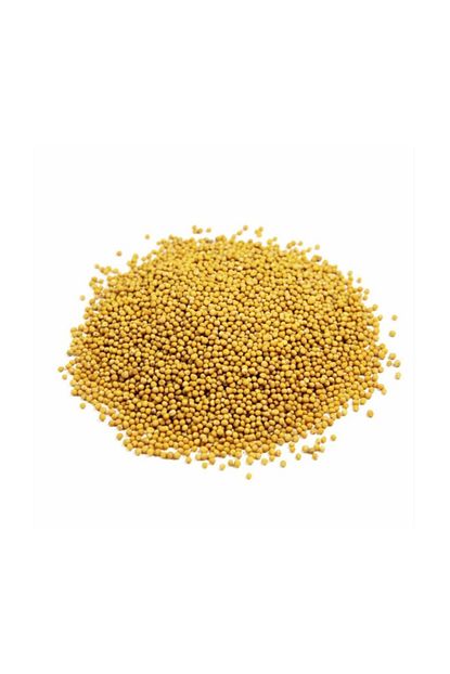 Hayfene Sari Hardal Tohumu 1 Kg Trendyol