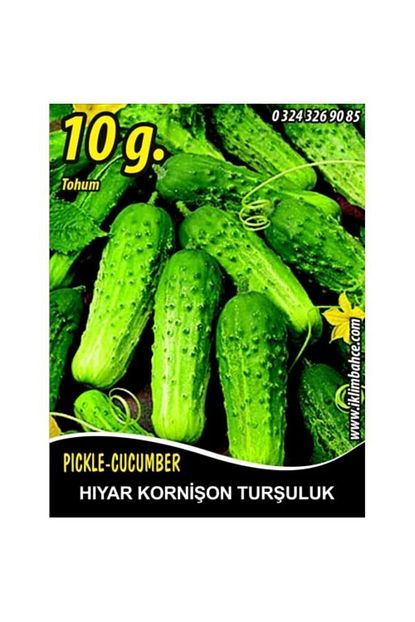Rem Seeds Hiyar Tohumu Salatalik Kornison Tursuluk 10 G Takribi 300 Tohum Trendyol