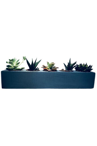 Tuncer Interiors Dekoratif Ahsap 5 Gozlu Antresit Renkli Sukulent Kaktus Saksi Trendyol