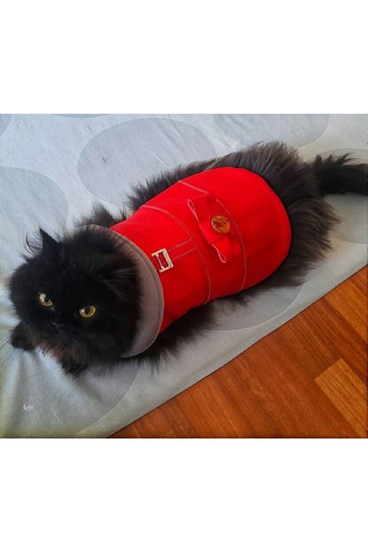 kedi kopek deri montu