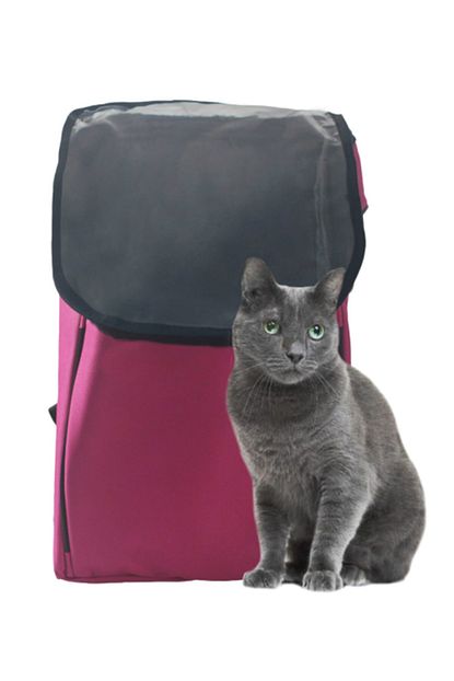 Evene Kedi Cantasi Pembe Kedi Tasima Seyahat Sirt Cantasi Evcil Hayvan Seffaf Astronot Delikli Ucakta Trendyol