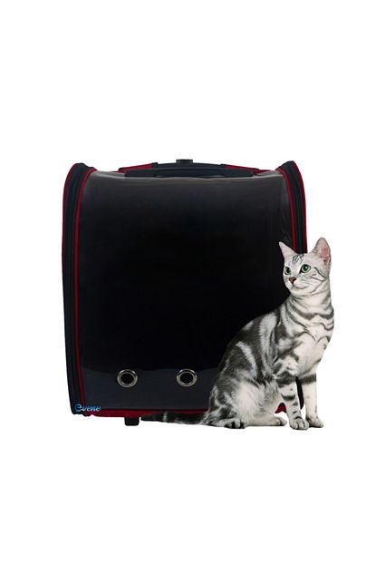 Evene Kedi Cantasi Valizi Kirmizi Cekcekli Kedi Tasima Seyahat Sirt Evcil Hayvan Cantasi Trendyol