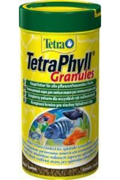 tetra