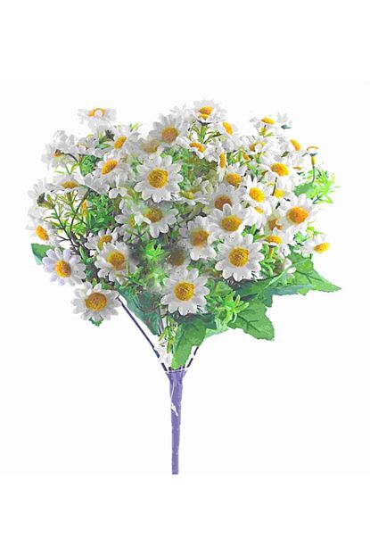 https ali ekber cicek benim pirim onrender com kuru c3 a7i c3 a7ek papatya html