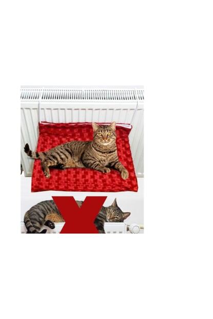 Modabes Kalorifer Askilikli Kedi Yatagi Yikanabilir Kirm Trendyol