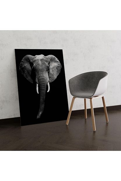 siyah beyaz fil tablosu 80x120 cm