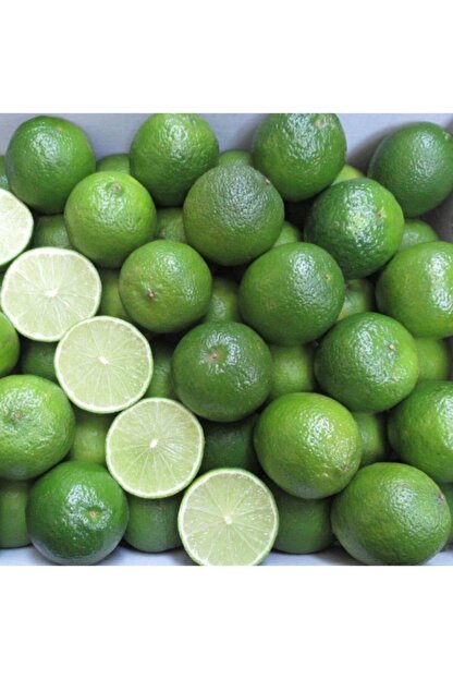 Mutlu Paket Tuplu Asili Nadir Meksika Lime Cekirdeksiz Limon Fidani Fiyati Yorumlari Trendyol