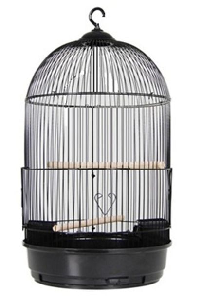 best cage silindir salon kus kafesi siyah 34x63cm ithal urun fiyati yorumlari trendyol