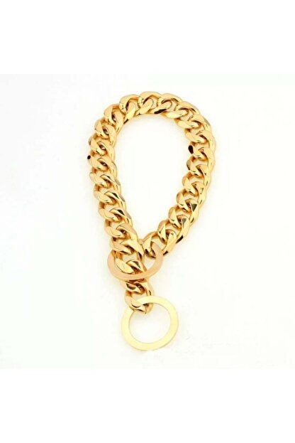 esuso palanmaz gold kaplama kopek zinciri boyun tasmasi tasma fiyati yorumlari trendyol