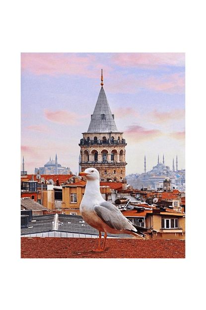 trendyol