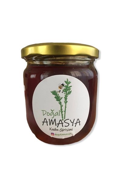 dogal amasya cam kozalagi surubu dogal katkisiz ev yapimi zencefil elma limon balli 480 gr fiyati yorumlari trendyol