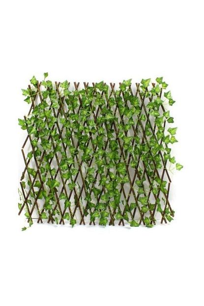 Naggis Home Collection Rattan Balon Askili Orme Bahce Balkon Salincagi Trendyol