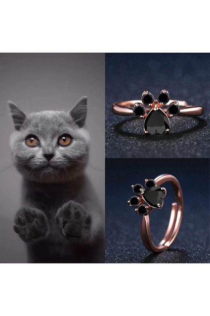 alyanscollection kedi patisi gumus