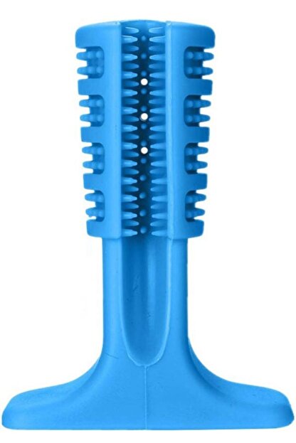 Kaktuskedi Kopek Dis Fircasi Isirma Kemigi Saklama Kutulu 713373 Trendyol