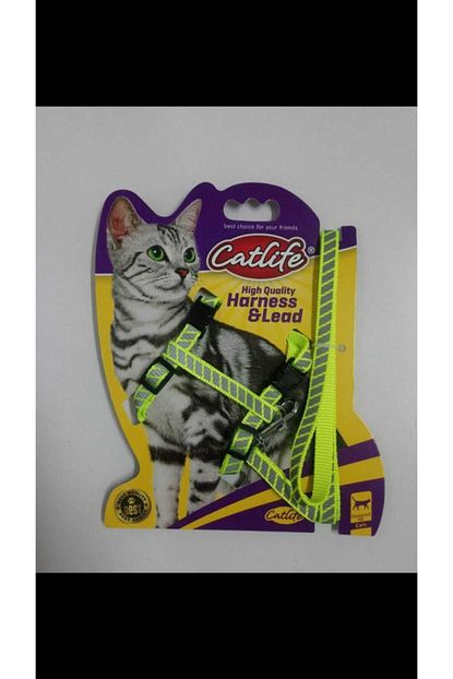 Funny Kedi Boyun Tasmasi Fosforlu 1 20 Cm Sari Full Reyon Trendyol